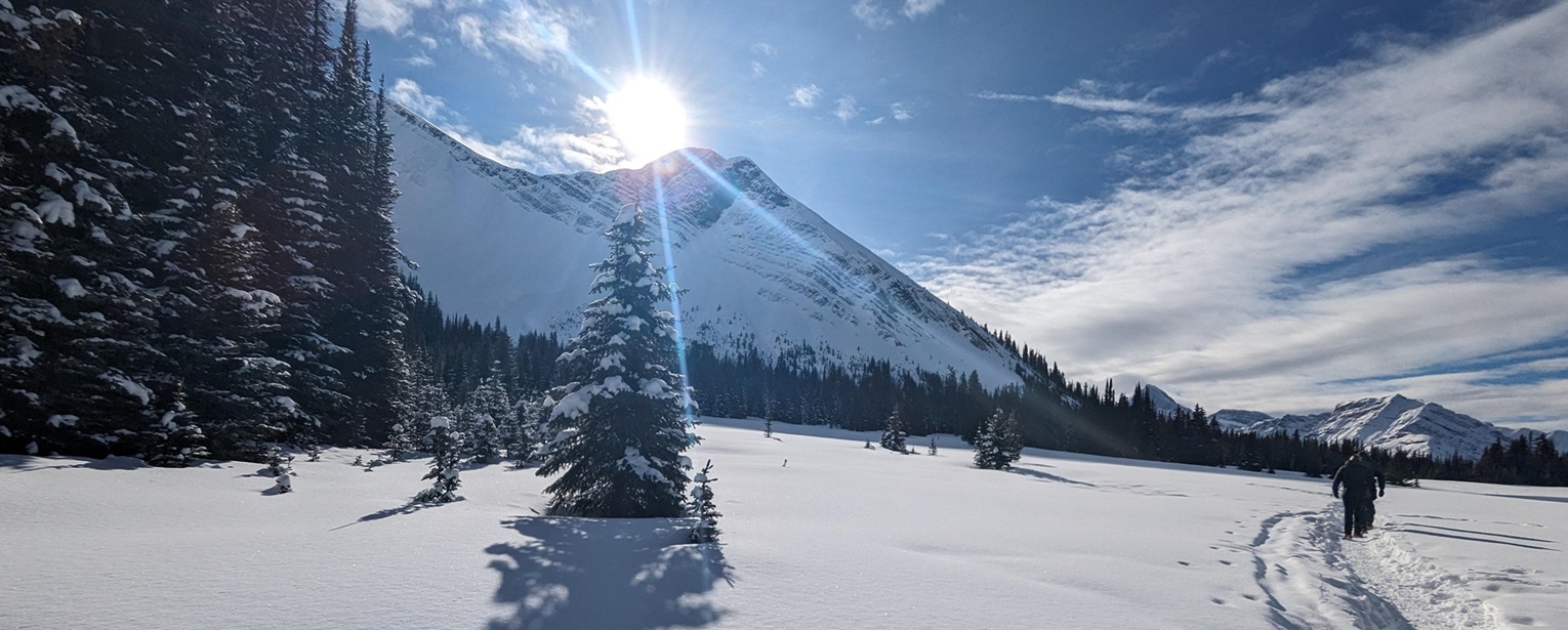 I'm a Kotlin enthusiast and aspiring mountaineer